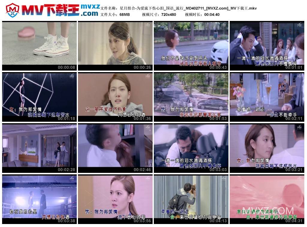 星月组合-为爱流下伤心泪_国语_流行_MD402711